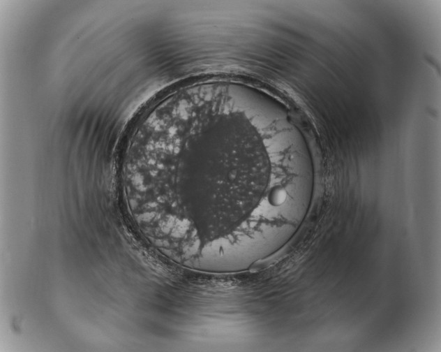 X0000102770975200809021026