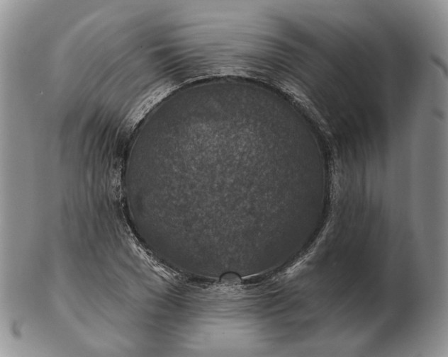 X0000102770977200809021026