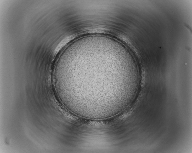 X0000102770978200809021026