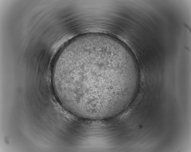 X0000102770979200809021026