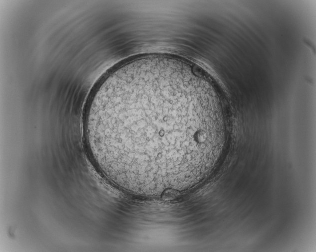 X0000102770980200809021026