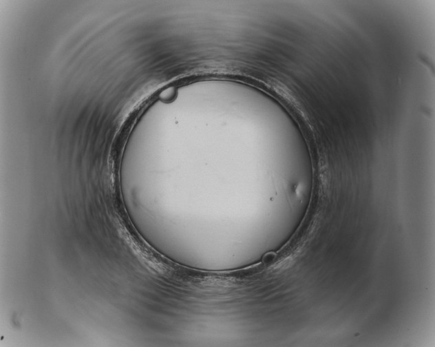 X0000102770981200809021026