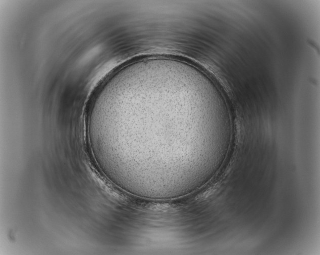 X0000102770982200809021026