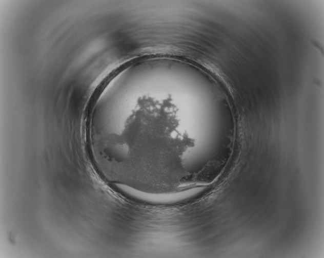 X0000102770983200809021026