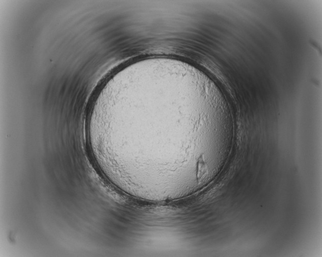 X0000102770984200809021026