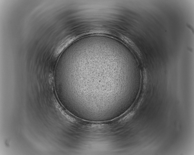 X0000102770985200809021026