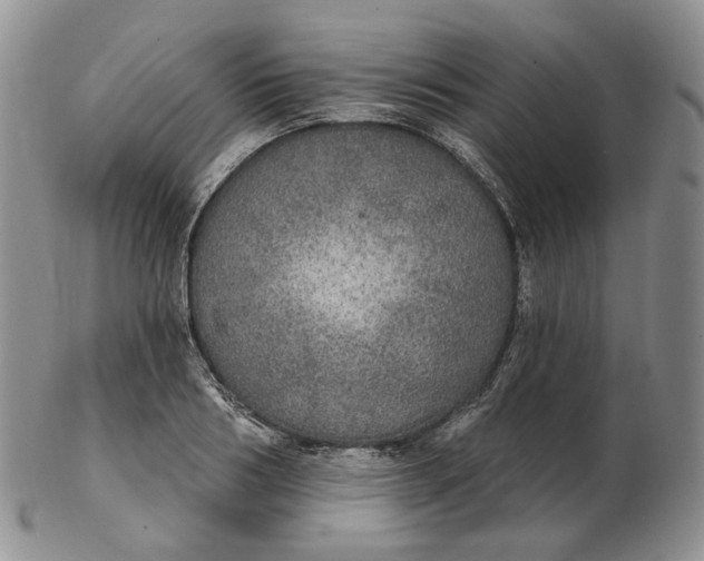 X0000102770986200809021026