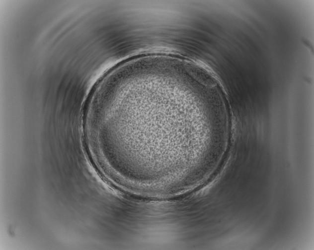 X0000102770989200809021026