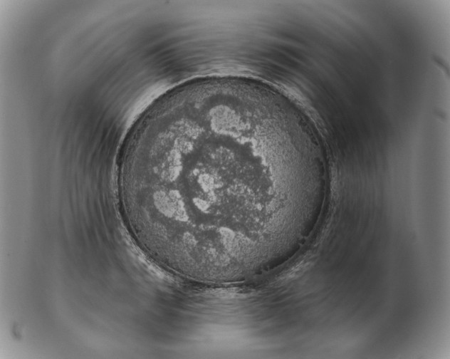 X0000102770990200809021026