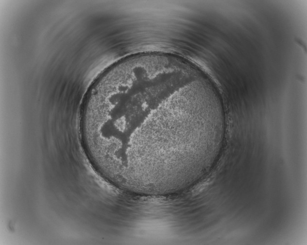 X0000102770991200809021026