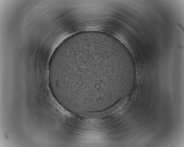 X0000102770992200809021026