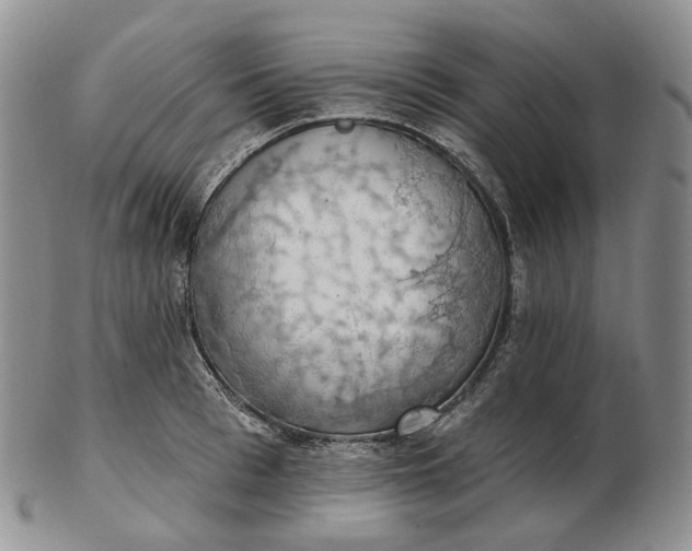 X0000102770993200809021026