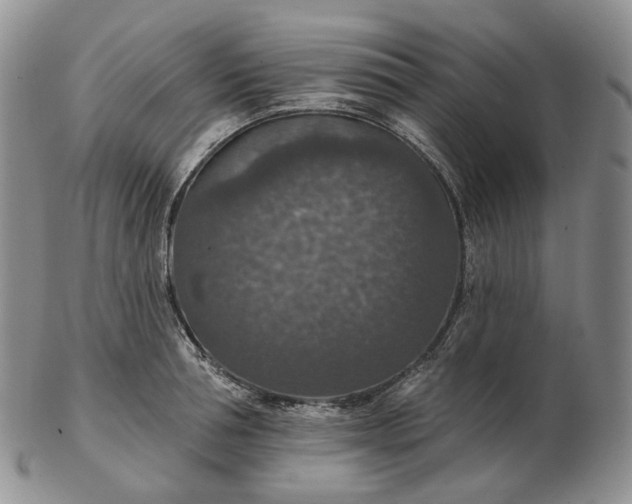 X0000102770994200809021026