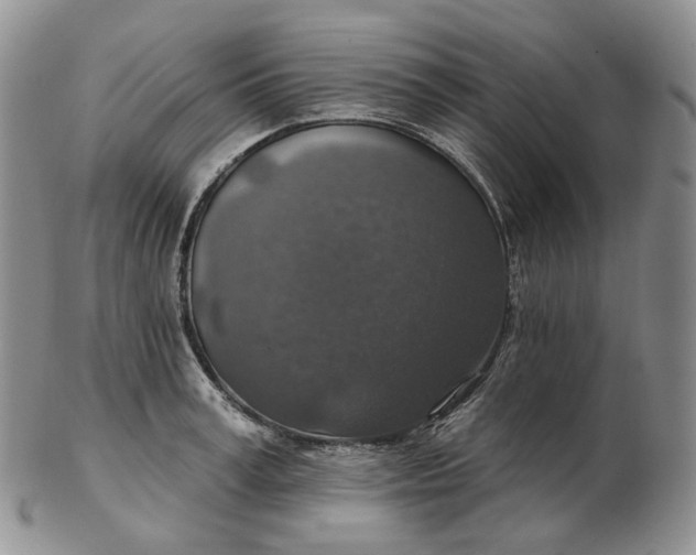 X0000102770995200809021026