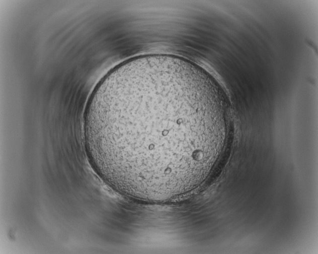 X0000102770996200809021026