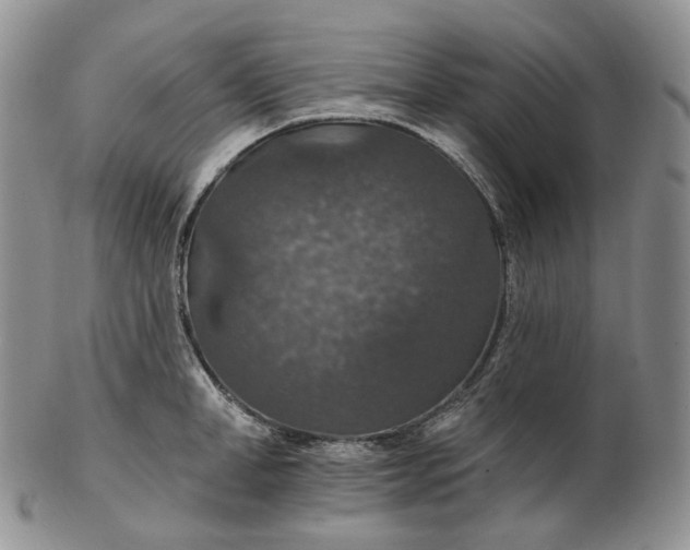 X0000102770998200809021026