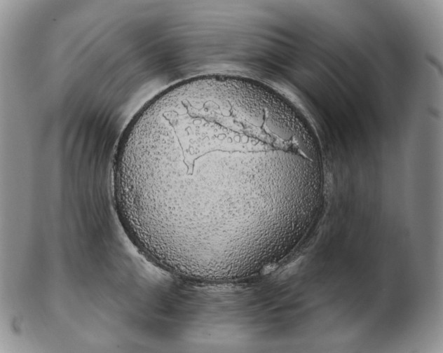 X0000102770999200809021025