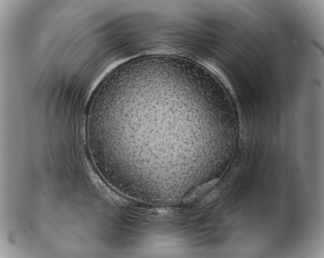 X0000102771000200809021025