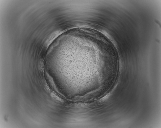 X0000102771001200809021025