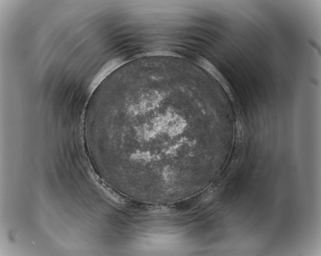 X0000102771002200809021025