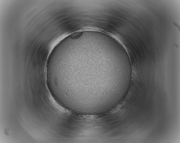 X0000102771003200809021025