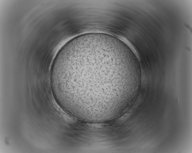 X0000102771004200809021025