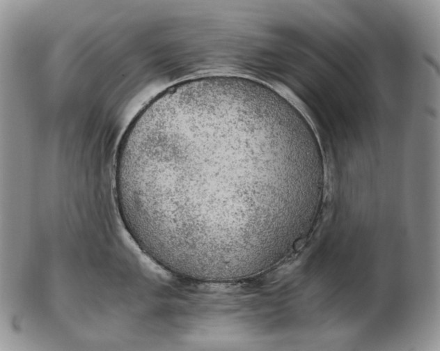 X0000102771005200809021025