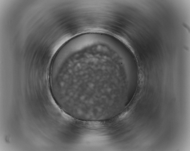 X0000102771007200809021025