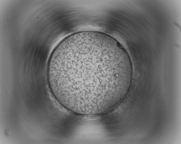 X0000102771008200809021025