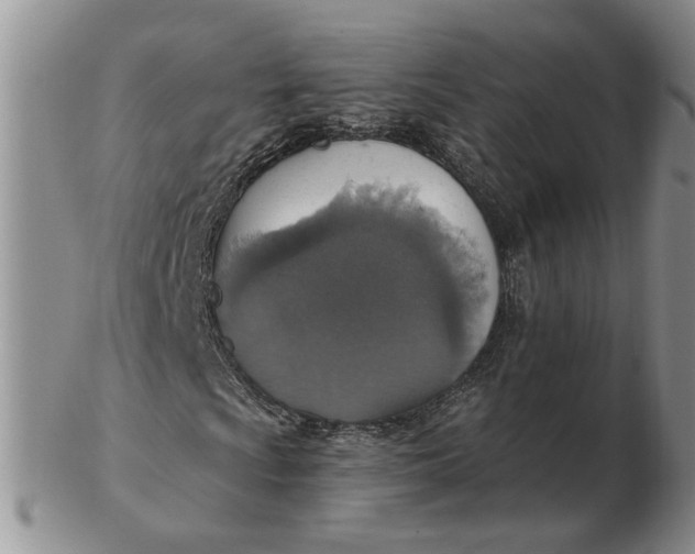 X0000102771009200809021025