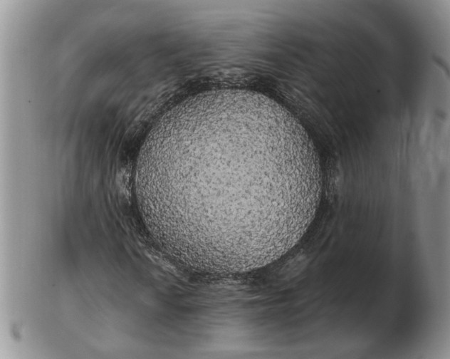 X0000102771010200809021025