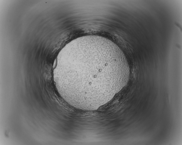 X0000102771012200809021025