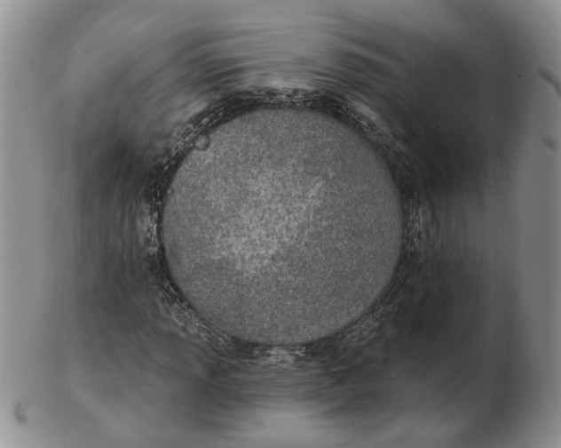 X0000102771013200809021025