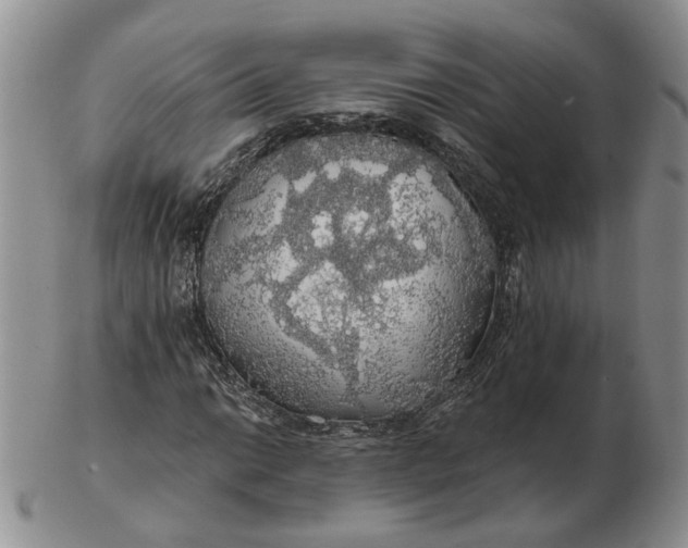 X0000102771014200809021025