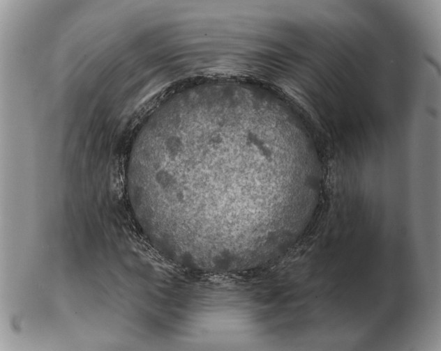 X0000102771015200809021025