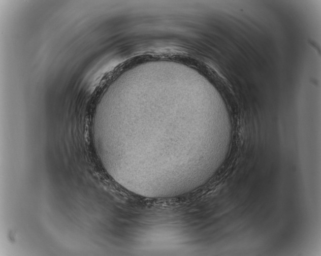 X0000102771016200809021025