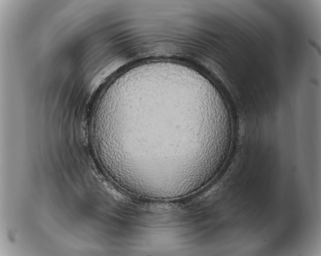 X0000102771018200809021025