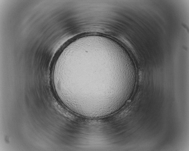 X0000102771020200809021025