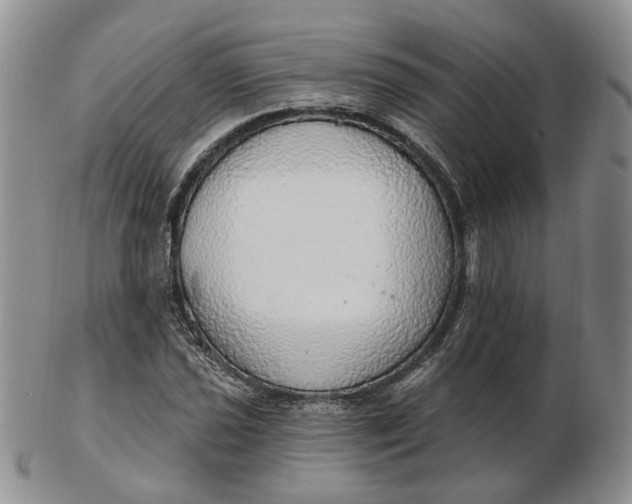 X0000102771021200809021025