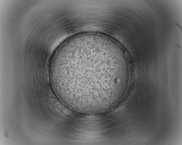 X0000102771022200809021025