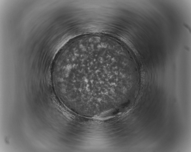 X0000102771023200809021025