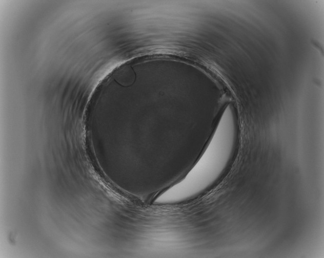 X0000102771024200809021025