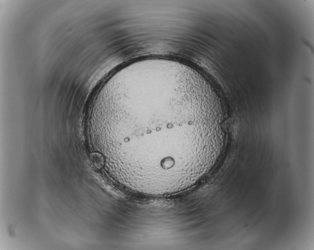 X0000102771026200809021025