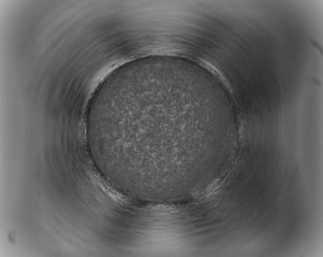 X0000102771027200809021025