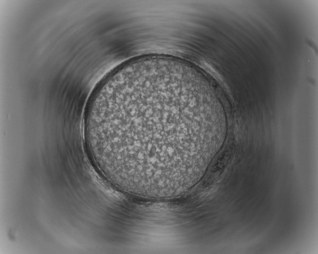 X0000102771028200809021025