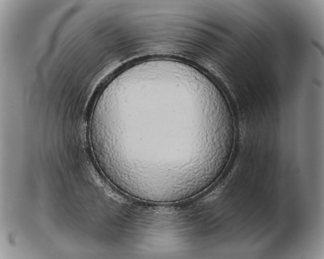 X0000102771029200809021025