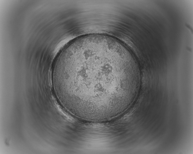 X0000102771030200809021025