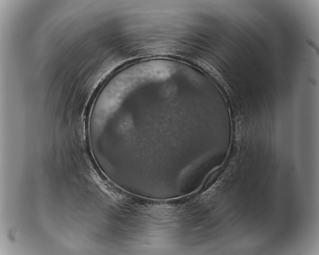 X0000102771031200809021025