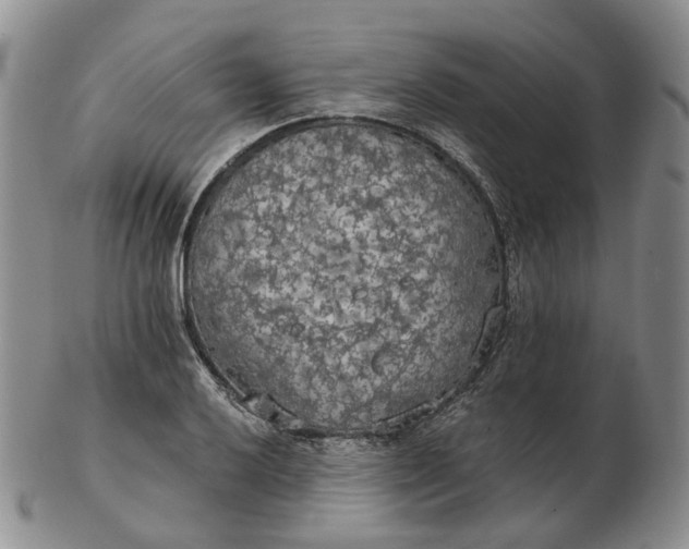 X0000102771032200809021025