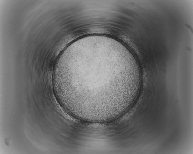 X0000102771033200809021025